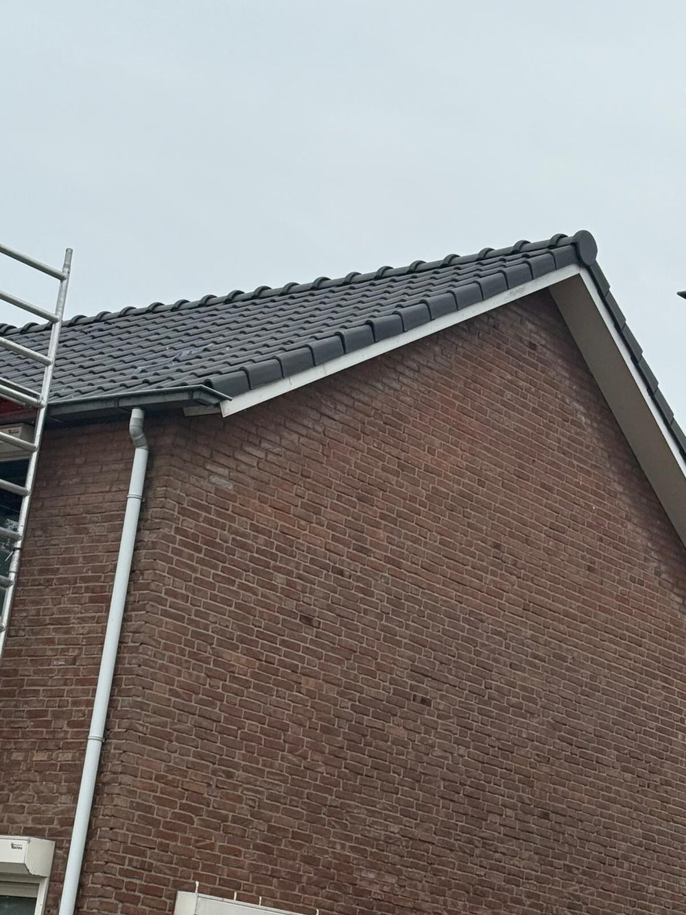 Dakwerk